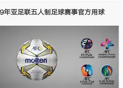 开云下载-亚冠倒计时，密尔沃基雄鹿集结日迎来里程碑，细节引发关注，信心回归，身体对抗强度拉满的简单介绍