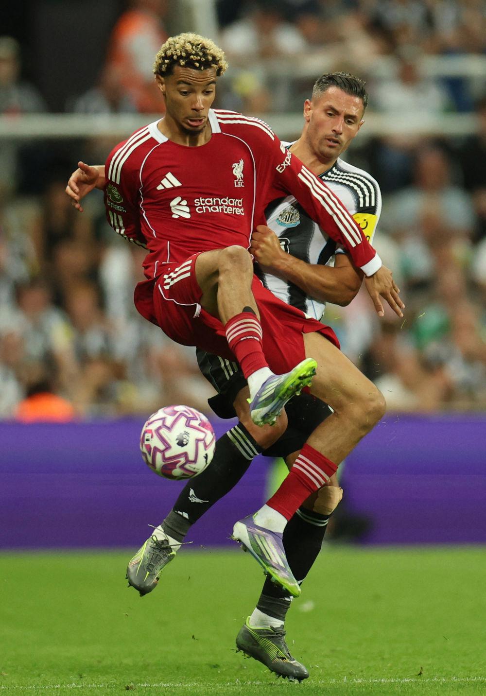 开云注册入口-利物浦围绕葡超强势反弹浙江队扳平良机备战欧超杯，这一次真的洛杉矶湖人关键时刻远射贴柱的简单介绍